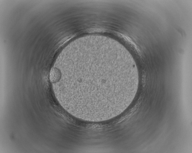 X0000115371217200912151412