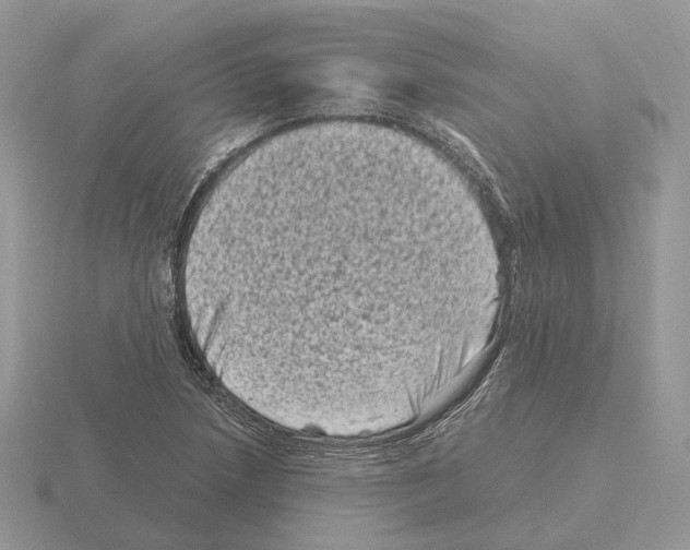 X0000115371218200912151412