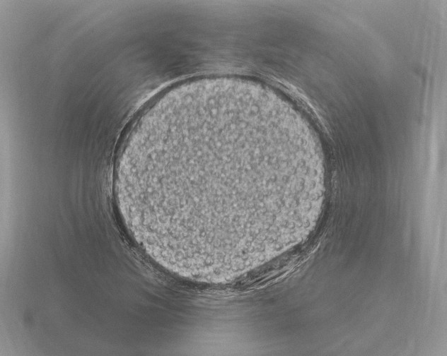 X0000115371220200912151412