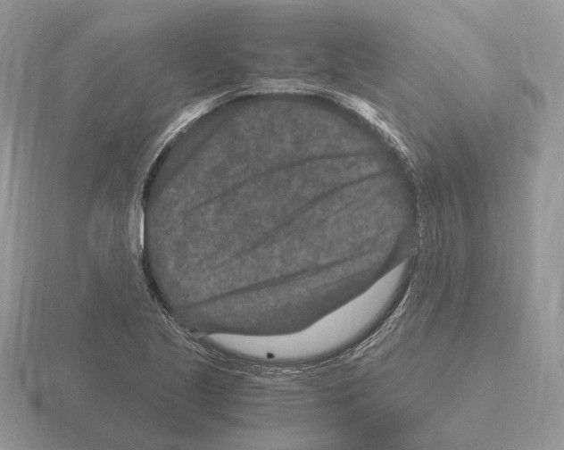 X0000115371221200912151412