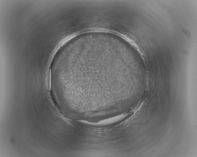 X0000115371223200912151412