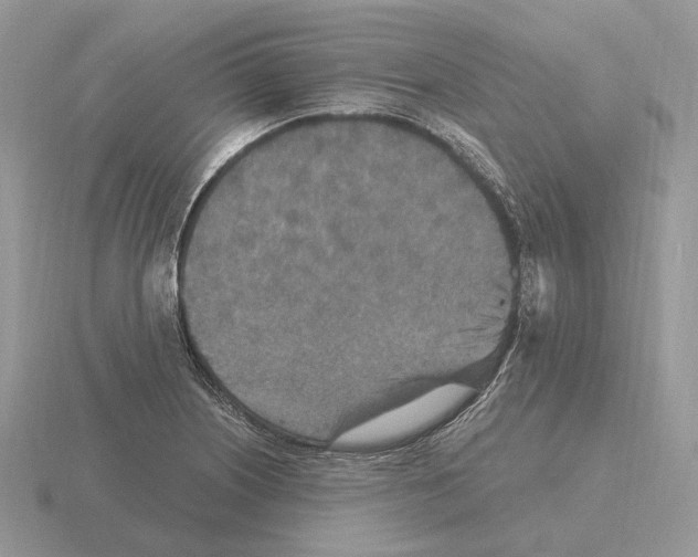 X0000115371226200912151412