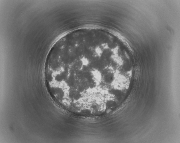 X0000115371229200912151412