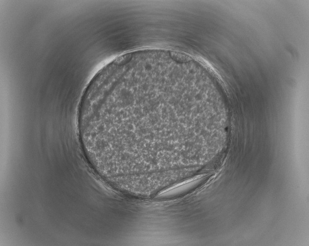 X0000115371230200912151412