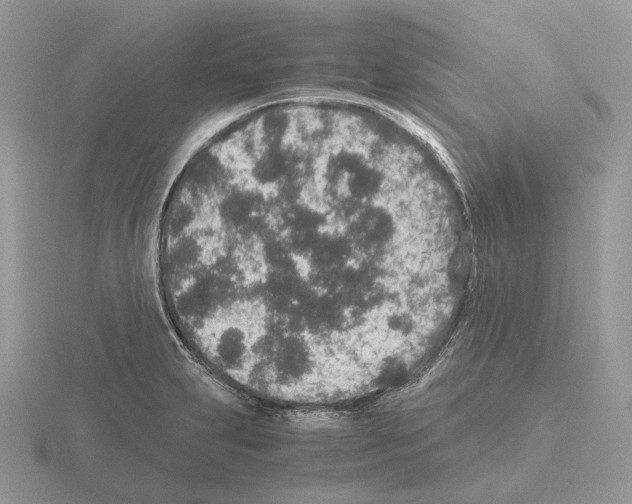 X0000115371231200912151412