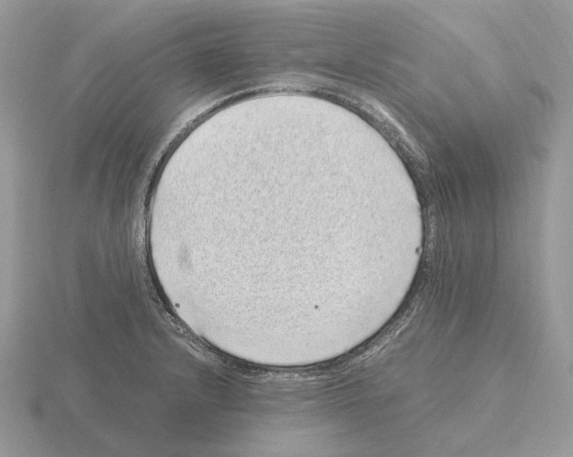 X0000115371232200912151412