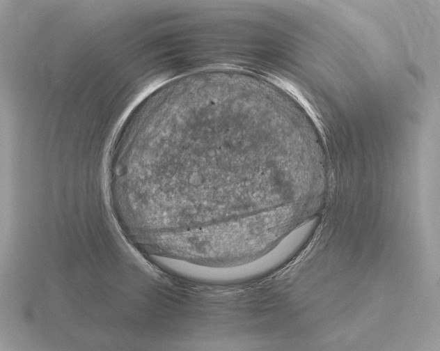 X0000115371235200912151412