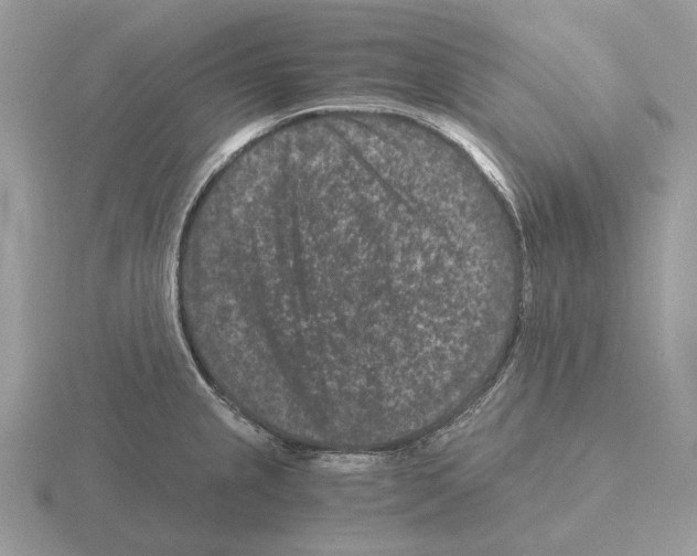 X0000115371237200912151412