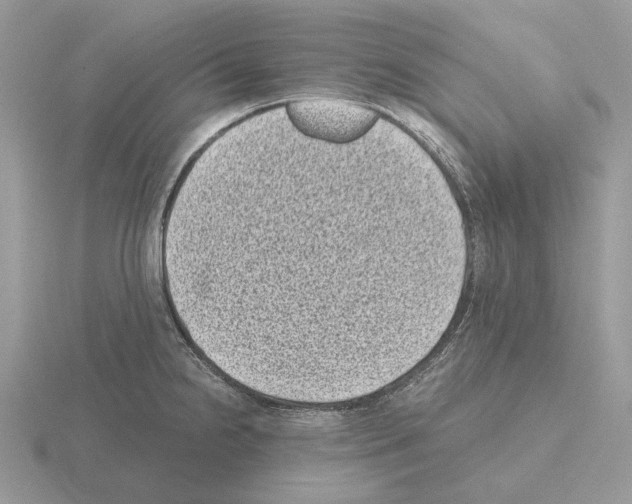 X0000115371238200912151412