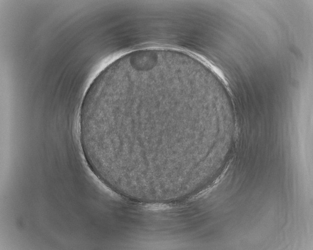 X0000115371239200912151412