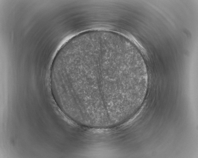 X0000115371240200912151412