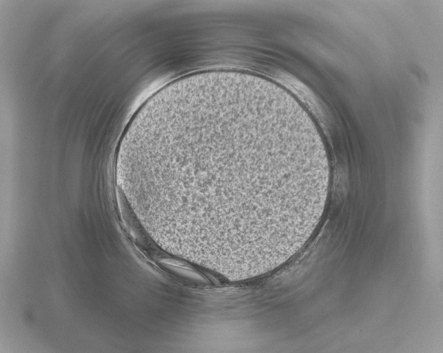 X0000115371242200912151412