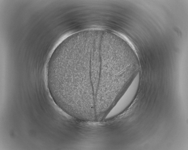 X0000115371243200912151412