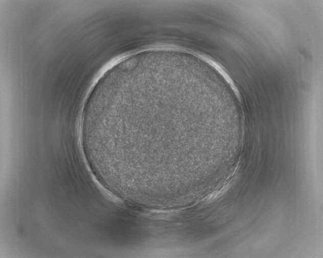 X0000115371245200912151412