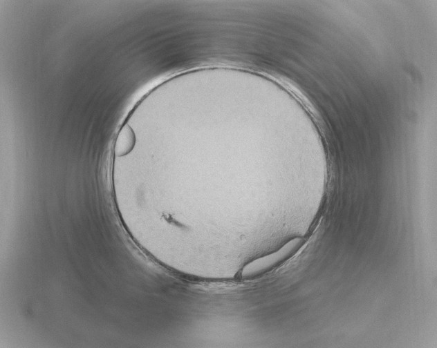 X0000115371246200912151412