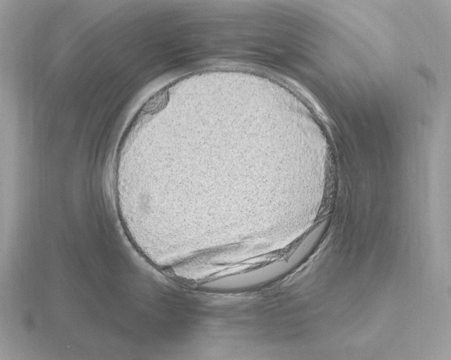 X0000115371247200912151412