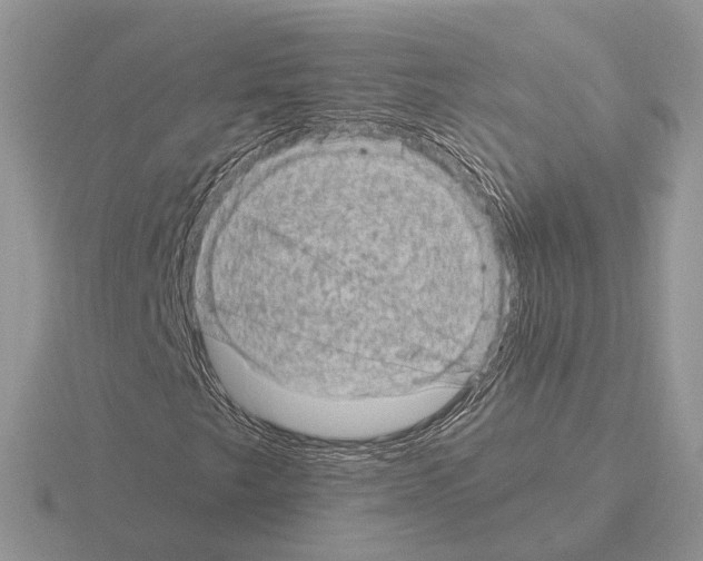 X0000115371249200912151412