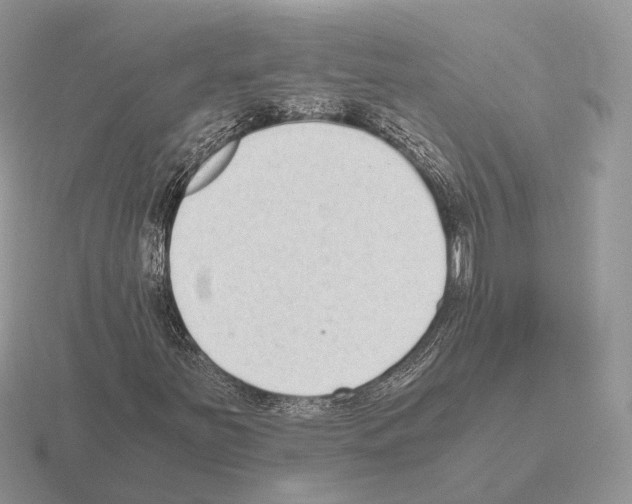 X0000115371251200912151412