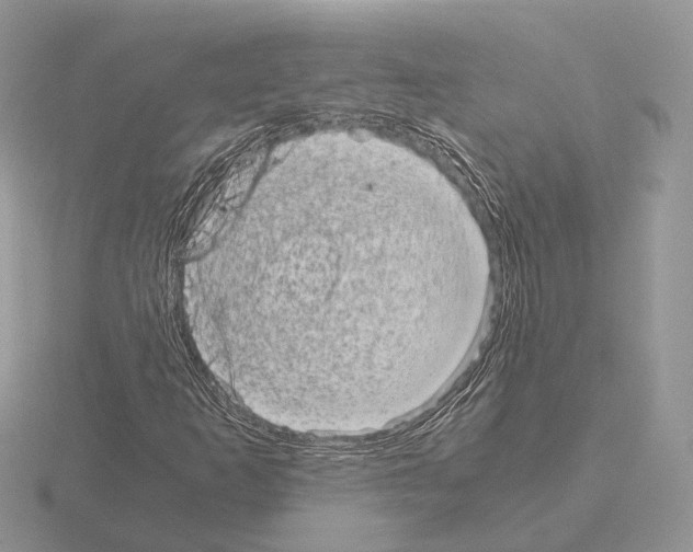 X0000115371253200912151412