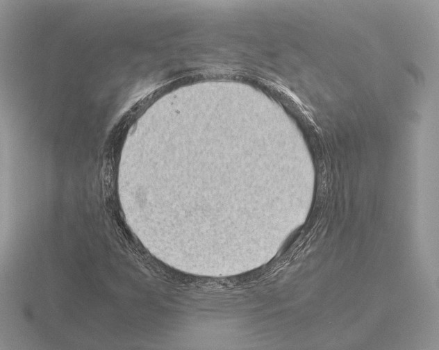 X0000115371255200912151412