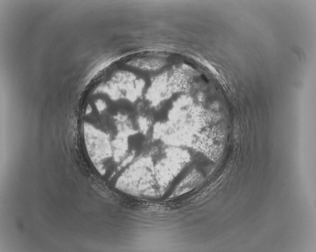 X0000115371263200912151412