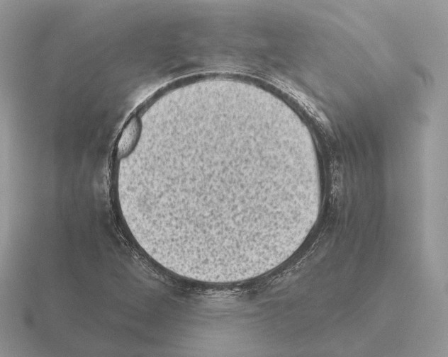 X0000115371264200912151412