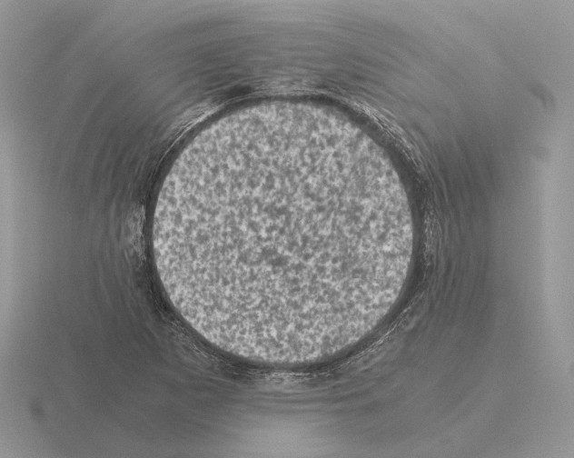 X0000115371265200912151411