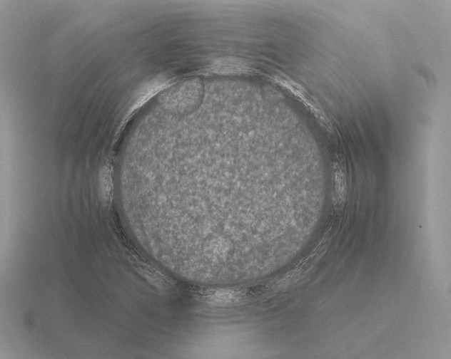 X0000115371266200912151411