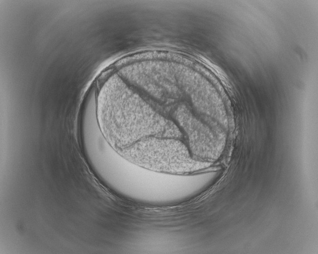 X0000115371272200912151411