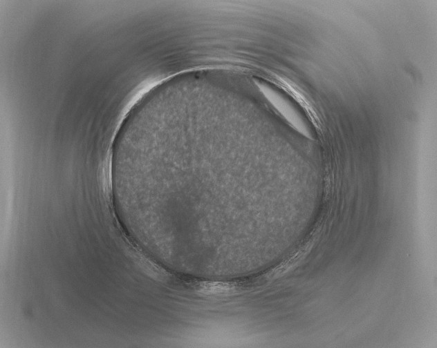 X0000115371275200912151411