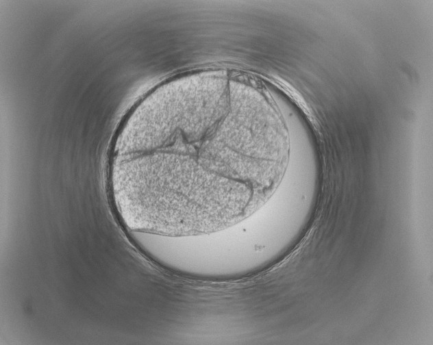 X0000115371277200912151411