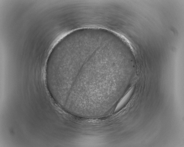 X0000115371279200912151411