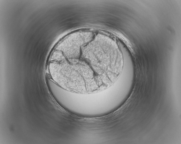 X0000115371280200912151411