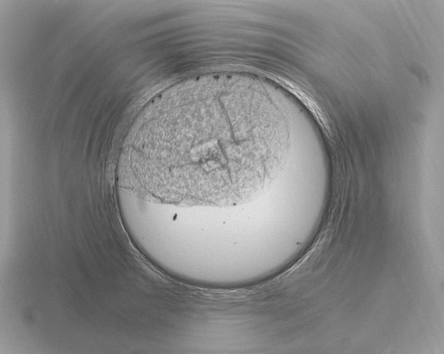 X0000115371281200912151411