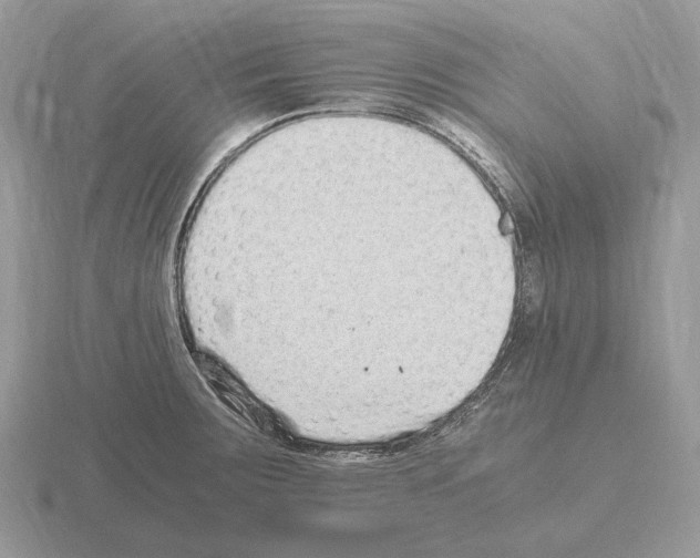 X0000115371283200912151411