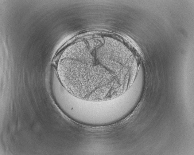 X0000115371285200912151411