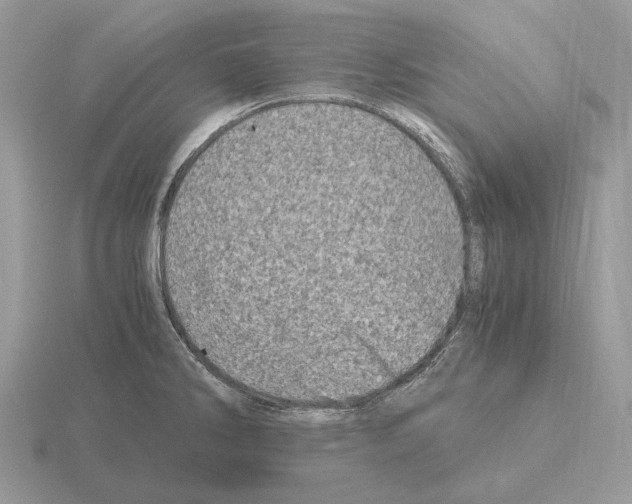 X0000115371286200912151411