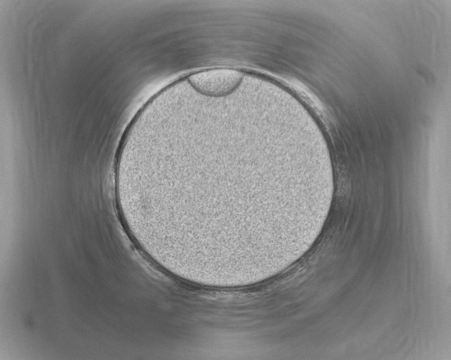 X0000115371287200912151411