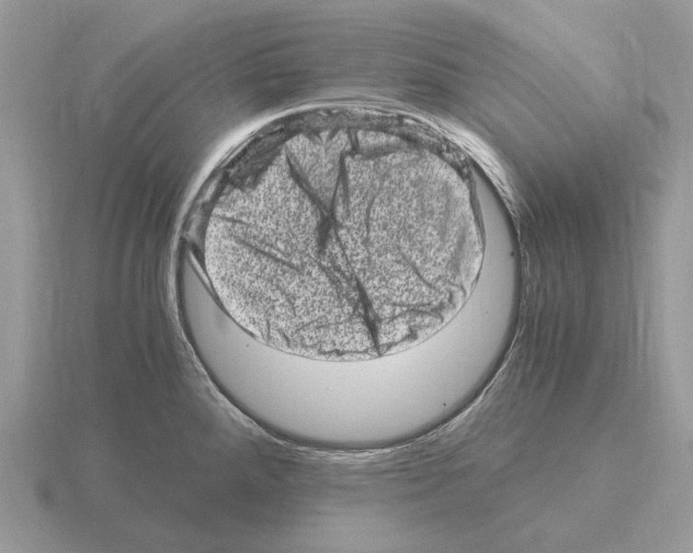 X0000115371288200912151411