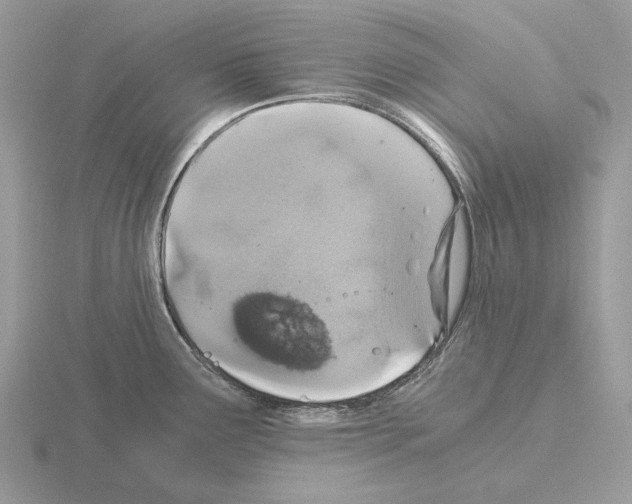 X0000115371291200912151411