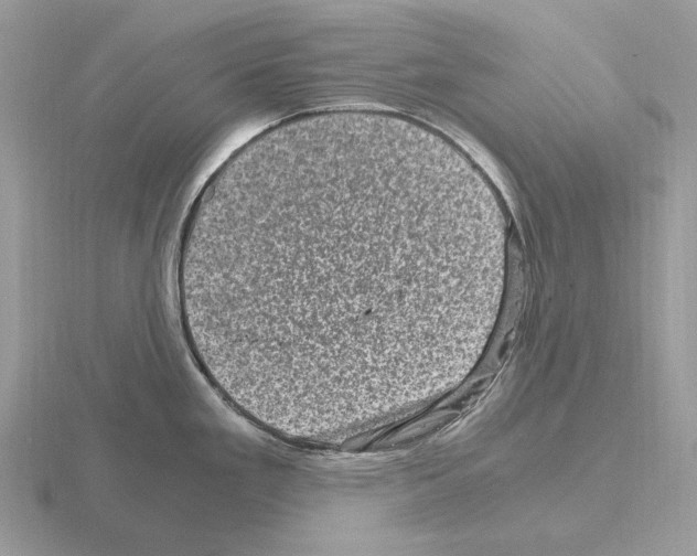 X0000115371293200912151411