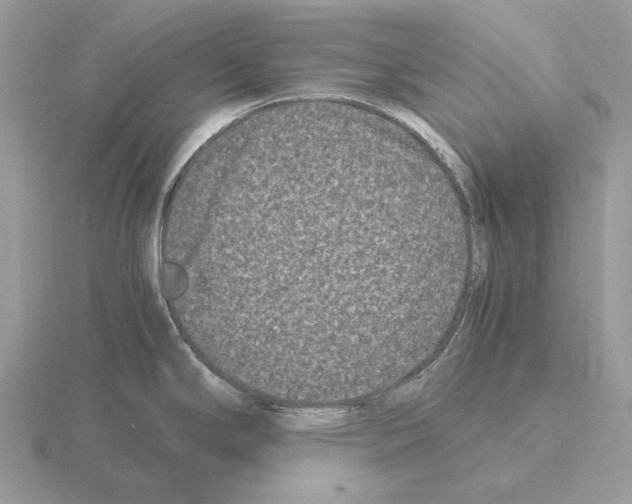 X0000115371294200912151411