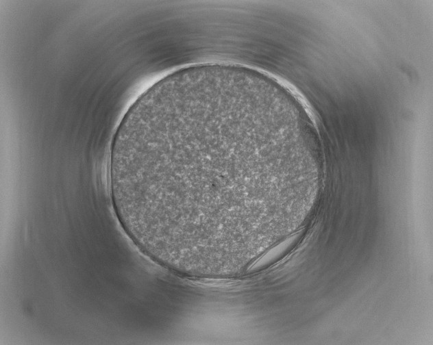 X0000115371295200912151411