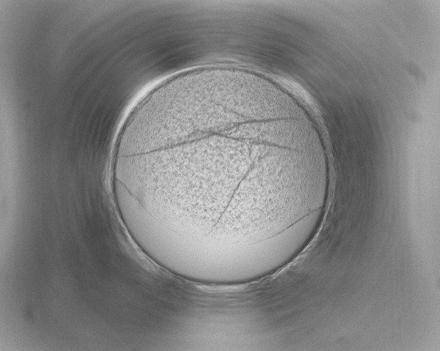 X0000115371296200912151411