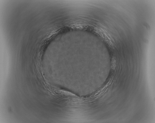 X0000115371297200912151410