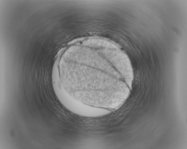 X0000115371298200912151410