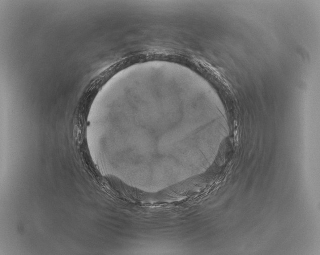 X0000115371303200912151410