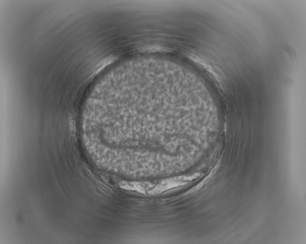 X0000115371305200912151410