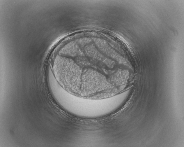 X0000115371310200912151411