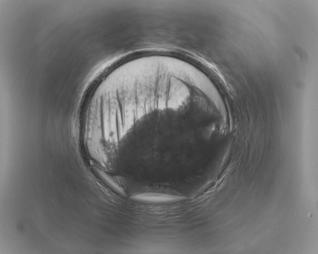 X0000115371319200912151411